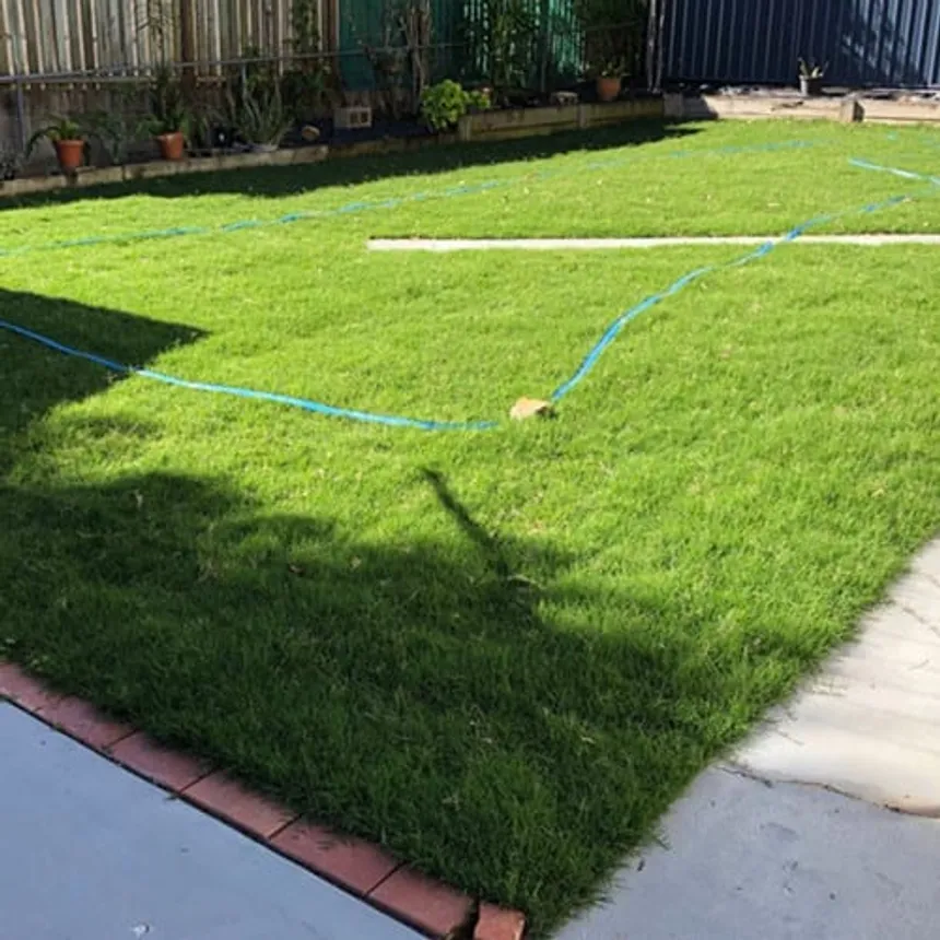 The Best Types Of Fertilisers To Use On Buffalo Grass