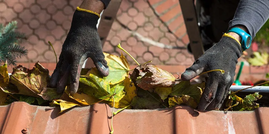 How to get your yard ready for bushfire season