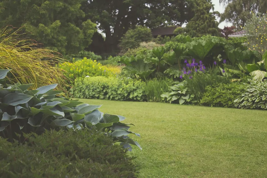 Spend Time In Your Backyard: The Health Benefits & How You Can Reap Them