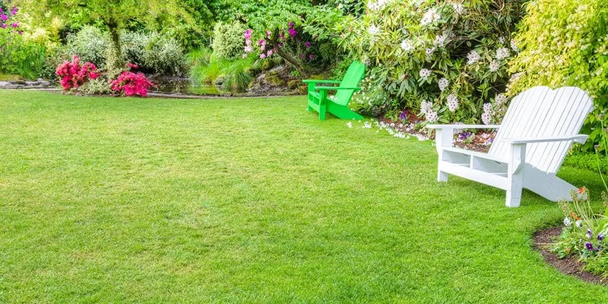 Lawn fertiliser: your complete guide to feeding your turf!