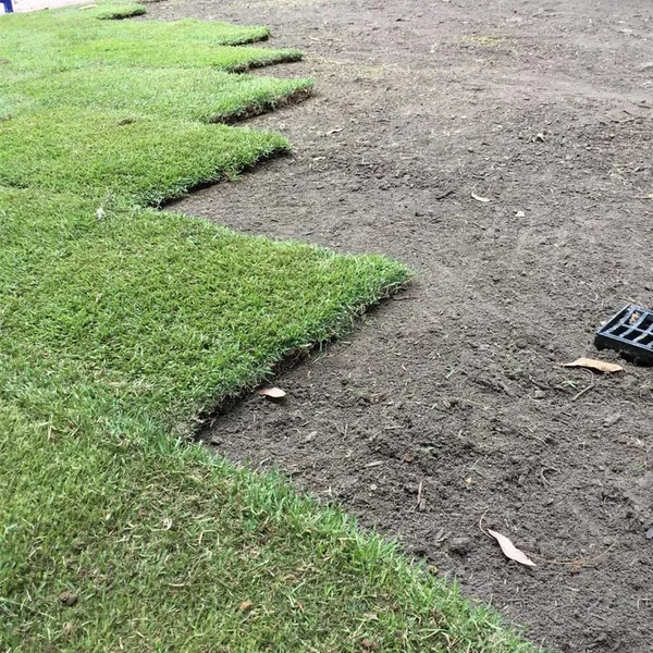 Whole package: site prep, supply and lay (2017), photo 1