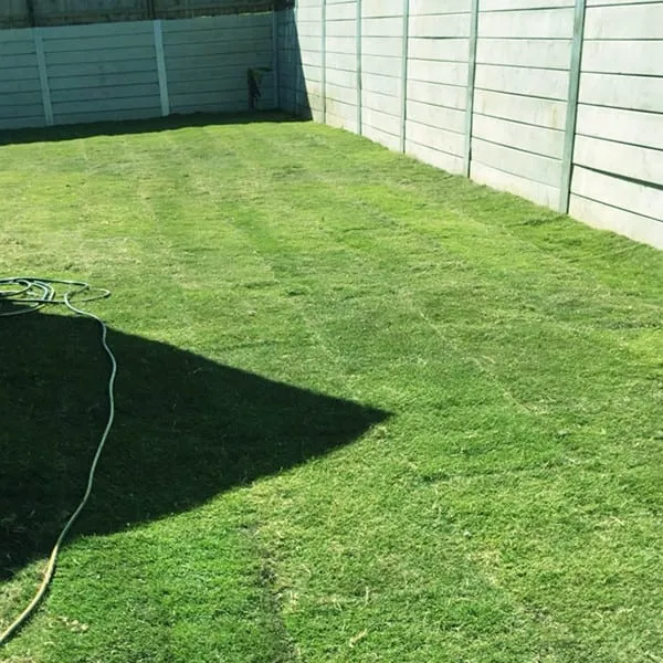 New home turfing (job 2), photo 1