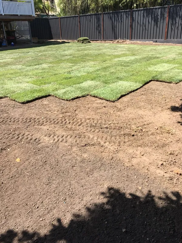 Turfing project, late 2017, photo 1