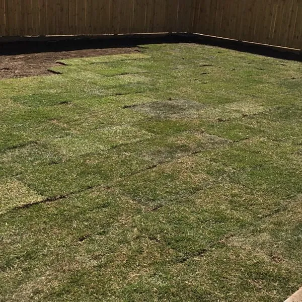 New home turfing (2017), photo 1