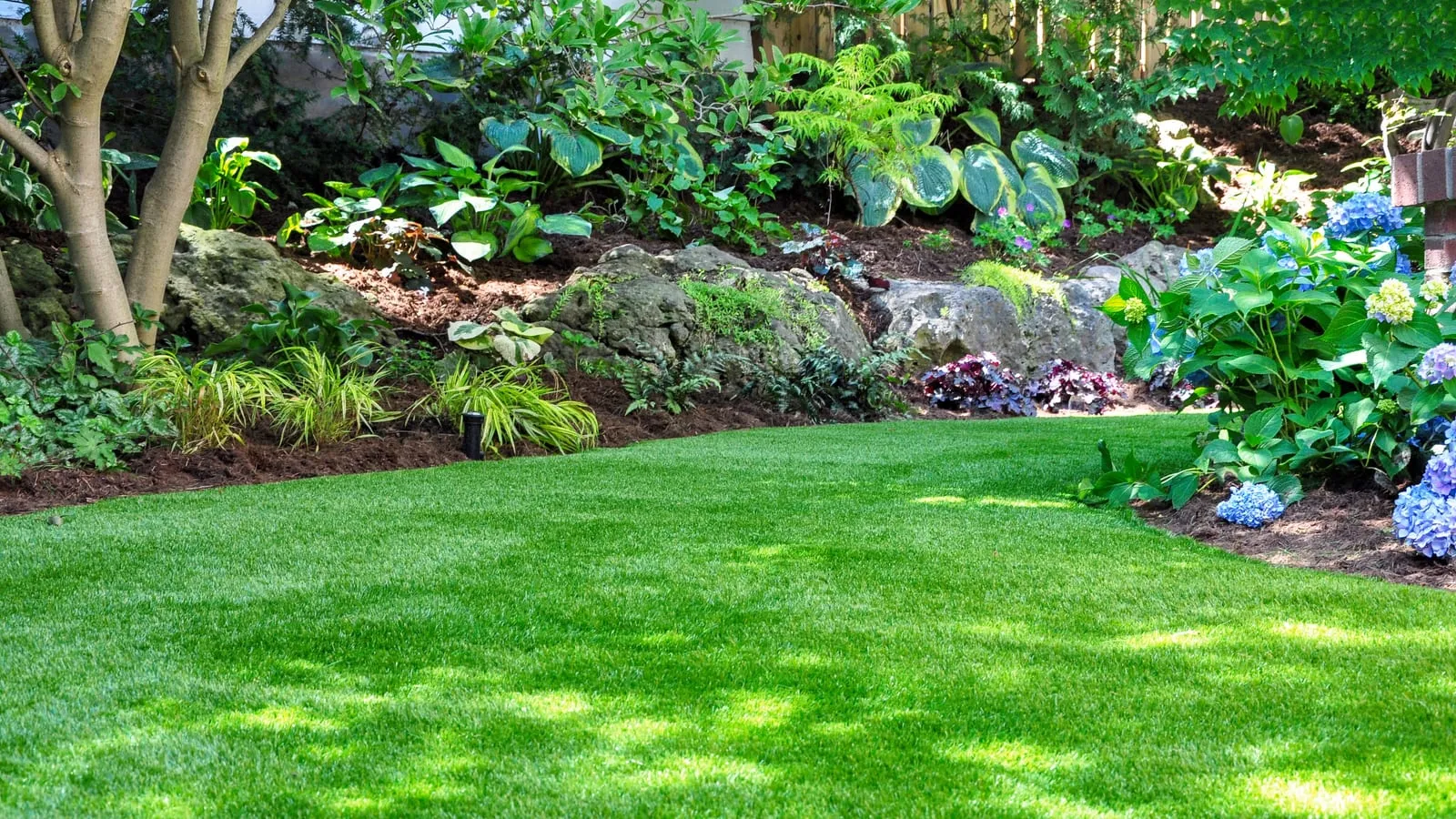 Site prepration with optimal soil depth