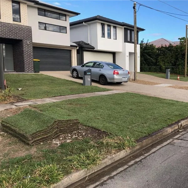 New home turfing, photo 2