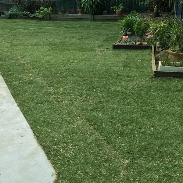 Re-turfing a backyard, photo 2