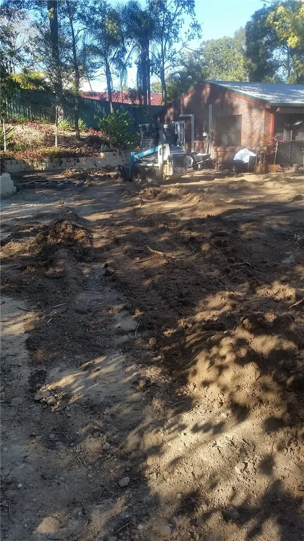 Old house: site preparation and new turf, photo 2