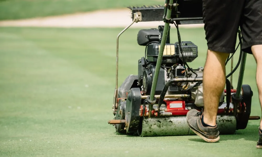 Why Opt for Professional Turf Laying Services from a Specialist Turf Farm