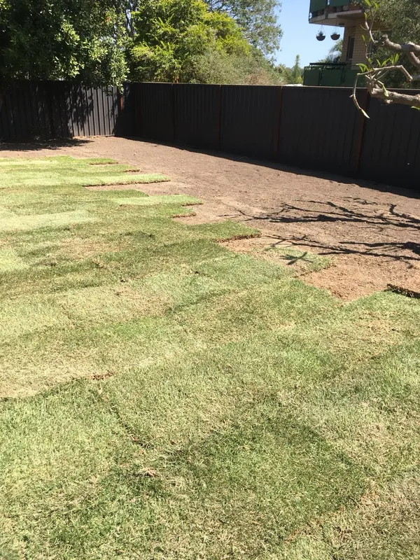 Turfing project, late 2017, photo 3