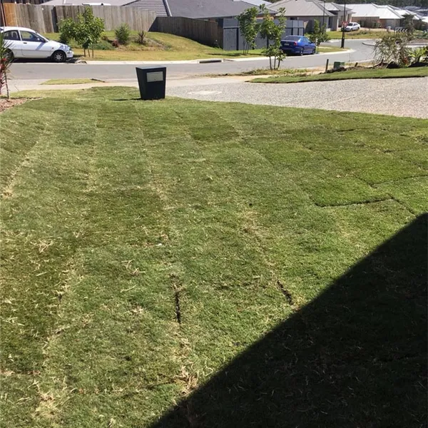 New home turfing (job 2), photo 3