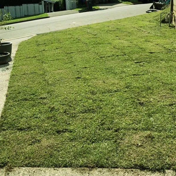 Whole package: site prep, supply and lay, photo 4