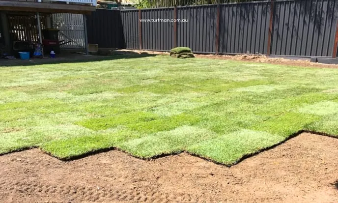 A Step-by-Step Guide to Laying Turf and Achieving a Stunning Lawn