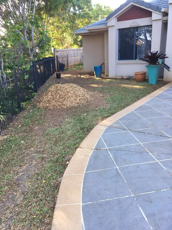 Re-turfing with Empire Zoysia, photo 5