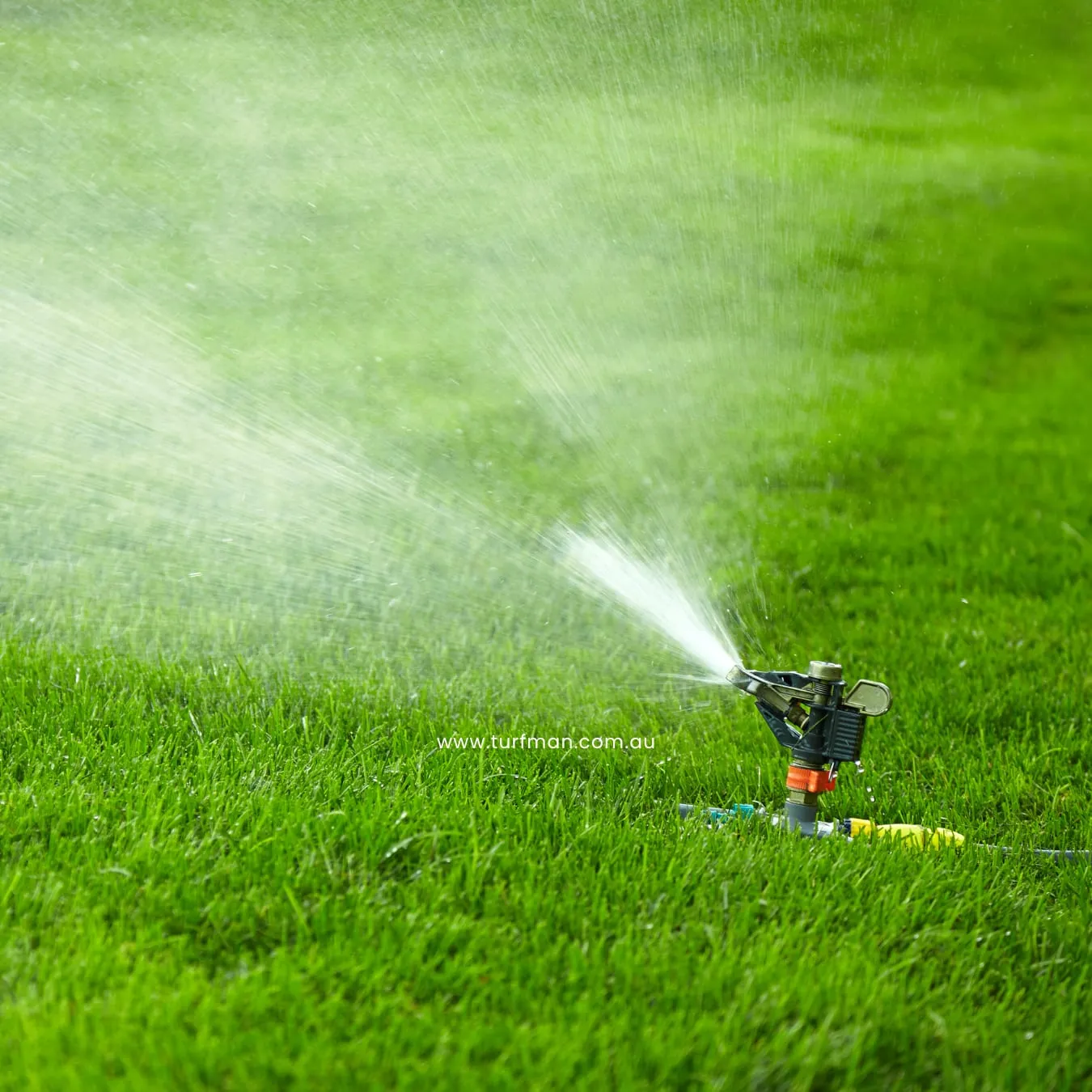 A Step-by-Step Guide to Laying Turf and Achieving a Stunning Lawn