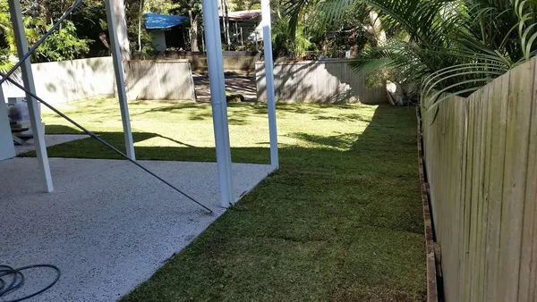 New house turfing with Empire Zoysia (job 2), photo 6