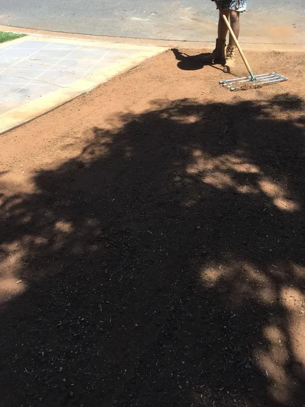 Re-turfing with Empire Zoysia, photo 7