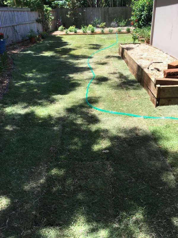 Re-turfing with Empire Zoysia, photo 8