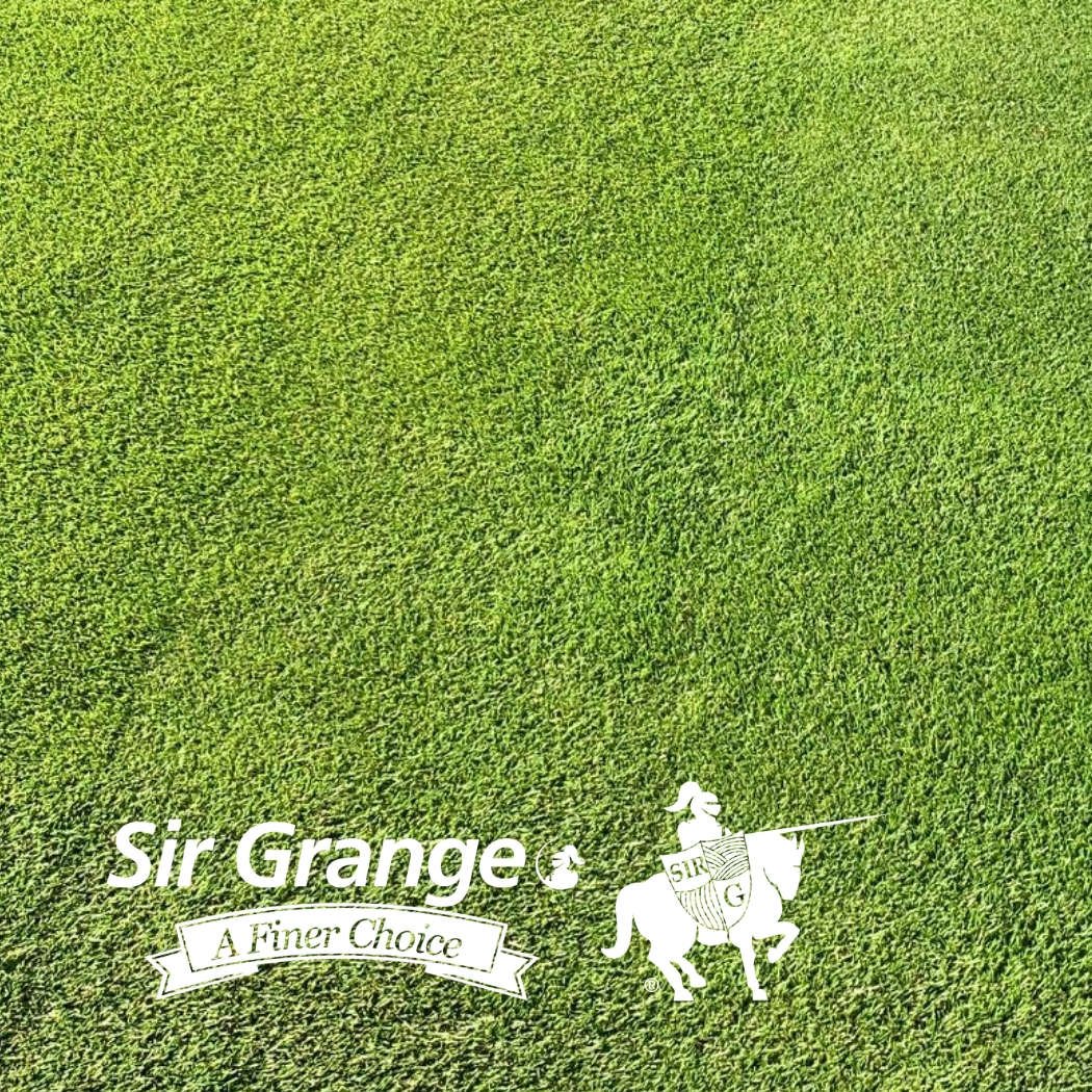 Sir Grange
